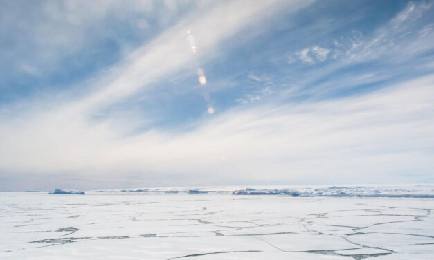 Extreme Cold Survival