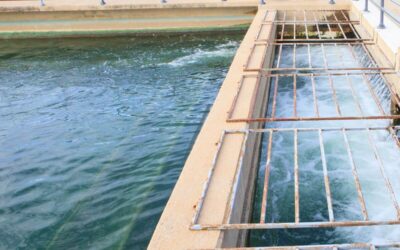 Can We Safeguard Our Water Supply?